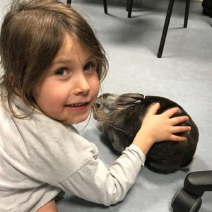 Rabbit Remedy - Animal Assisted Therapy - Introduction